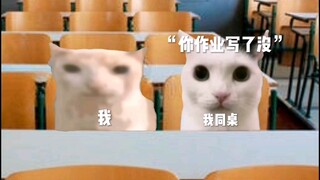 当你作业没做时