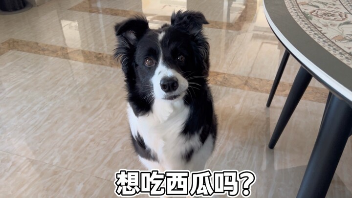 Answer me, look in my eyes