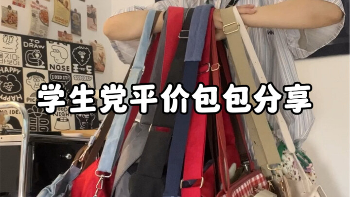 Affordable and Practical Bag Recommendations for Students