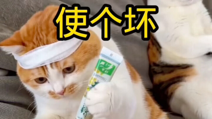 Làm một chuyện xấu