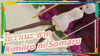 [โยวาเนะ ฮาคุ/MMD]  ฮาคุแสนน่ารัก - Kimiiro ni Somaru