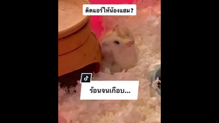 ดีนะช่วยทัน