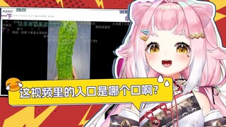 “她这个入口是哪个口啊😰😰”驻韩萝莉看《果蔬测评》【桃姆Q吃手手/Rection﻿﻿】