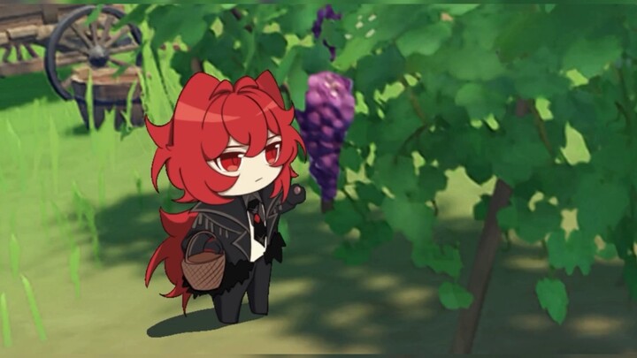 Come watch the kitty pick grapes?