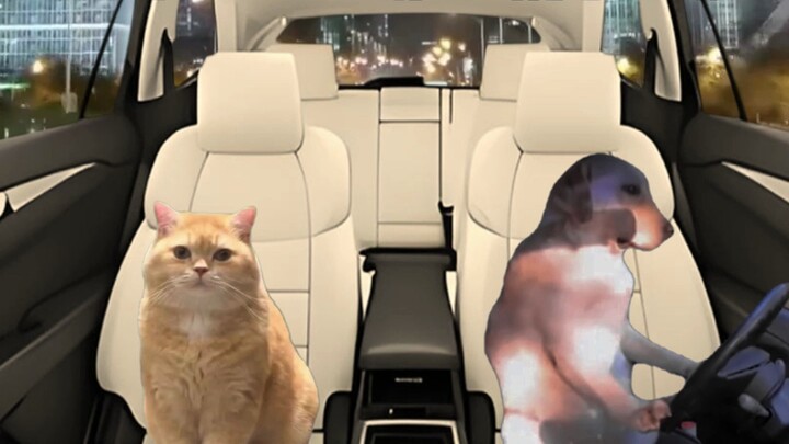 Hitching a ride, only to find the driver listening to my song.