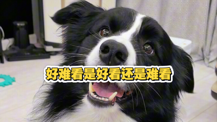 Is it ugly, or is it pretty?