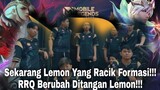 RRQ Season 9! Lemon Racik Meta MPL S9! Lihat Perubahan RRQ Ditangan Lemon!