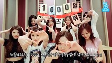 170808 얼웨이즈러블리즈 (LOVELYZ's 8-letters-talk for 1000days)