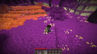 Minecraft Kẻ Săn Người, Nhưng Bắt Đầu Ở The End