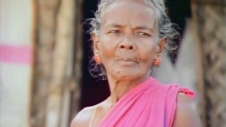 Crowdfunded Translation: Carl Sagan’s “Cosmos” (Sample Clip from Episode 1, 8 Minutes)