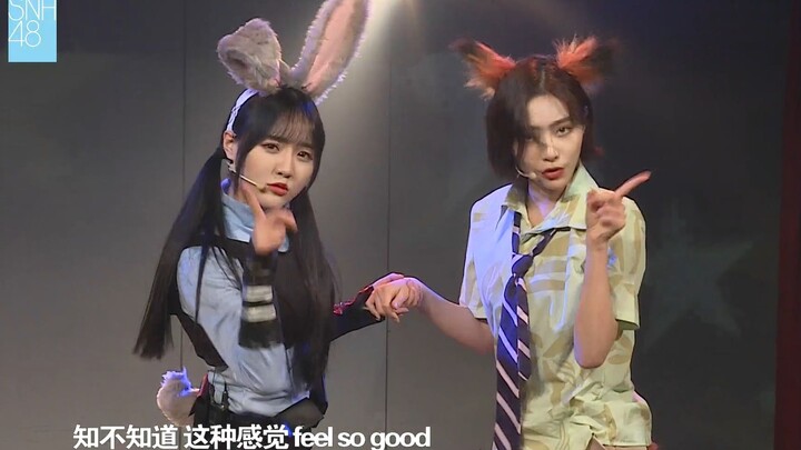 Seluruh penonton berteriak histeris [Xu Jiaqi & Mo Han] Lagu pertama tentang kelinci + medley lagu