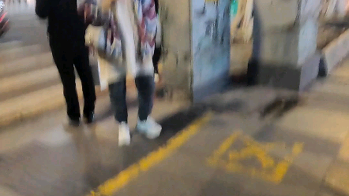 Chia sẻ một ngày thường của chó làm việc Yuki được mọi người khen nức nở~ Không quay được hình người