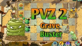 PVZ 2, Grave Buster