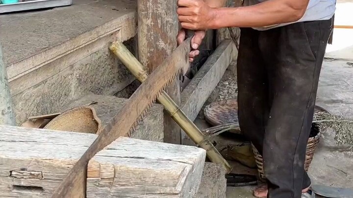 Help the family in the village grow Poria cocos!