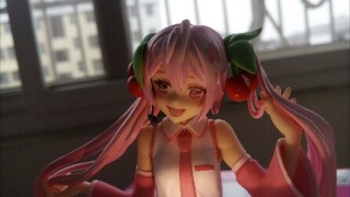 【手办展示】FuRyu樱未来泡面压图片展示