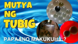 Part 1 | Kilalanin ang mga Mutya ng Kalikasan na Nagtataglay ng Pambihirang Kapangyarihan