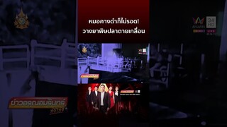 หมอคางดำก็ไม่รอด! วางยาพิษปลาตายเกลื่อน | ข่าวอรุณอมรินทร์