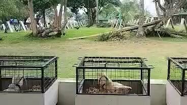 fusegamefarm.goodluck la laban .