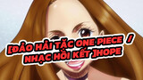 [Đảo hải tặc One Piece  / Nhạc Hồi Kết ]Hope