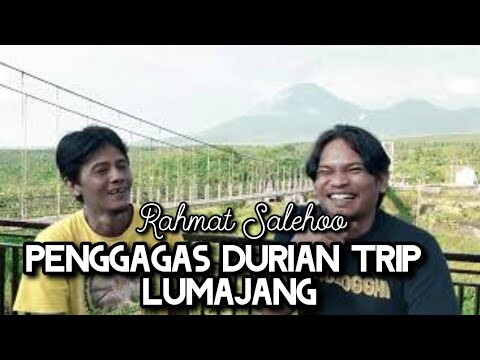 LVJG - RAHMAT SALEHOO PENGGAGAS DURIAN TRIP LUMAJANG