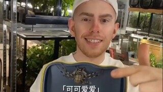 让人san值狂掉的宠物