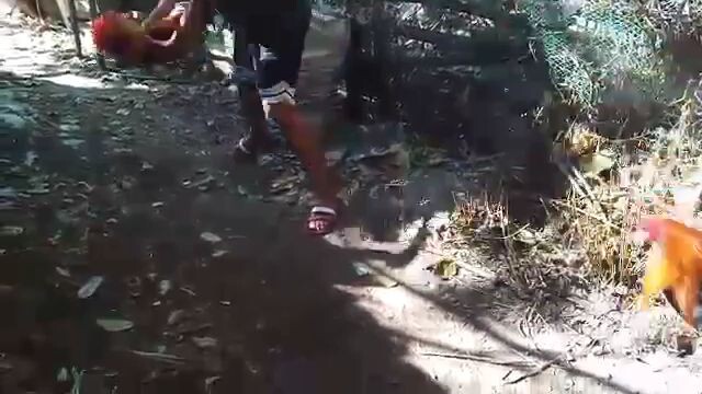 #CONSBACKYARD BULIK VANGUARD LINE 👑❤️