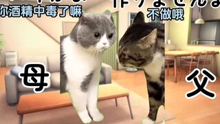 【熟/猫meme】天天喝酒被训了一顿的爸爸