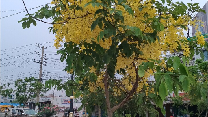 engin 1st phy chap 10 lec 2