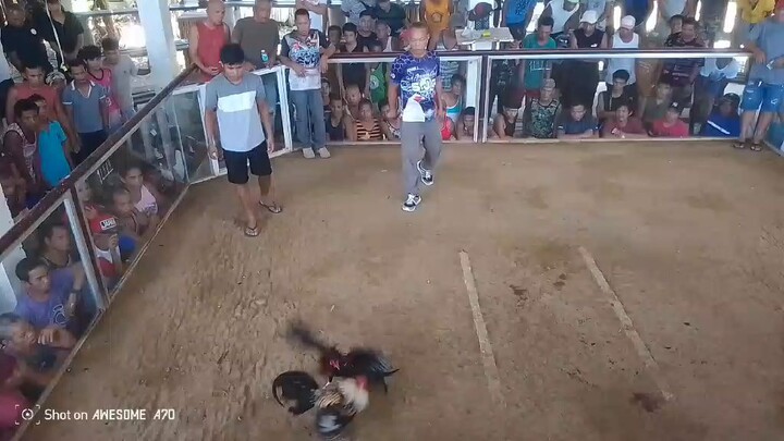 Pula vs Talisay