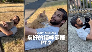 ชายผู้สามารถลูบแมวจรจัดได้กลับมาแล้ว‼ ️