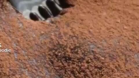 basic chocolate pudding