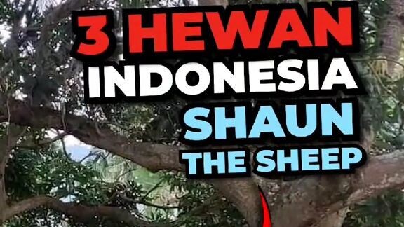 3 Hewan Indonesia di Kartun Shaun the Sheep
