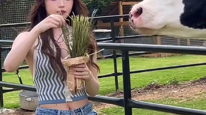 Let’s go have some fun—might as well, since we’re not making much anyway!