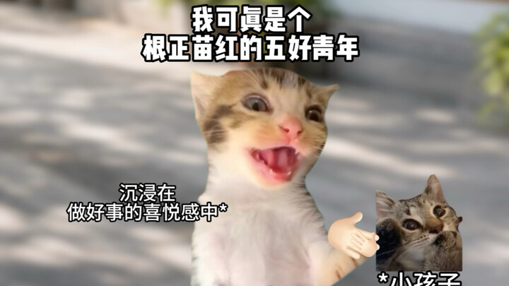 Tôi thực sự chỉ có lòng tốt thôi