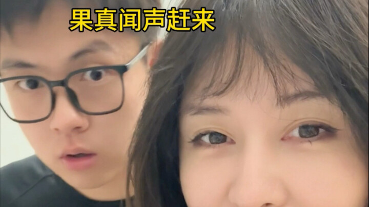 Xem tôi lừa thằng em ăn phô mai dê, cười bể bụng luôn!