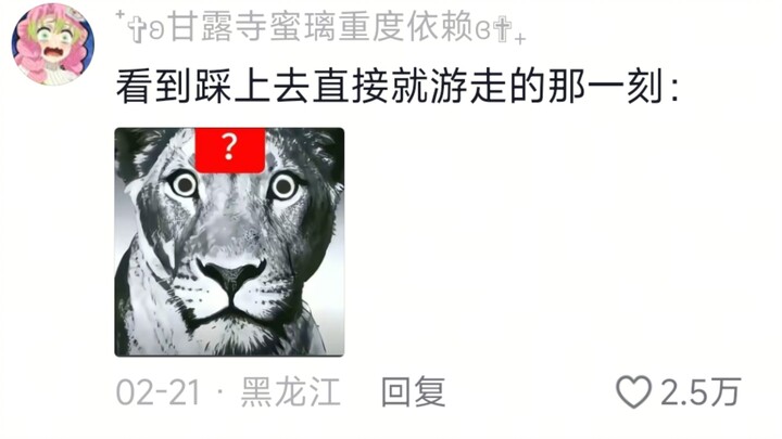 Akhirnya paham kenapa dalam novel orang suka iri sama hewan peliharaan spiritual orang lain 😳