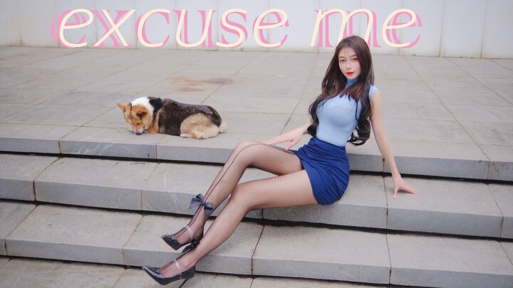 【Xiaoweijun】Corgi Got Obsessed with It after Watching ✦Excuse me-AOA