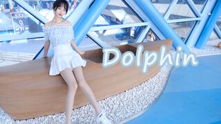 【沐年】Dolphin竖屏，快来跟我一起被哒哒哒洗脑吧~