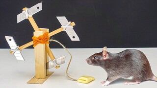 3 Sáng Tạo Thú Vị KHÔNG NÊN BỎ QUA 🐀😲