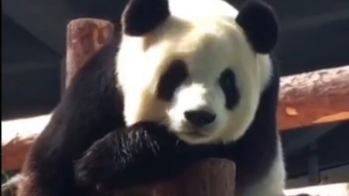 It's been five thousand years, Ayu, are you still OK?