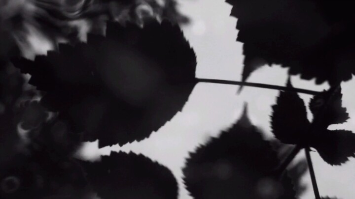 Some fragments about dreams