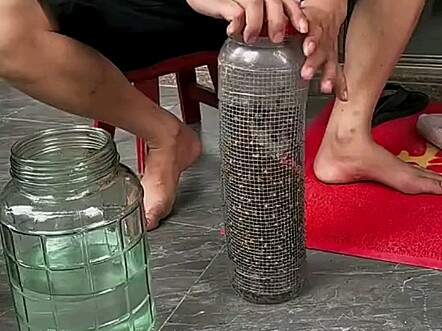 Tôi có thể làm loại rượu này không?