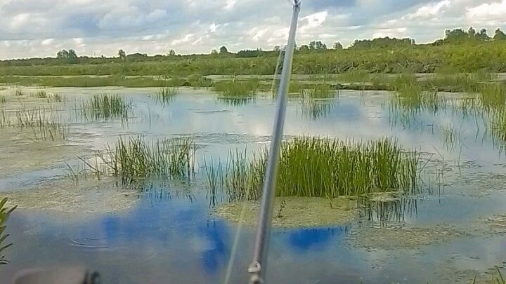 yuk mancing