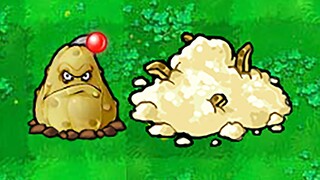 New Plant: Potato Cucumber
