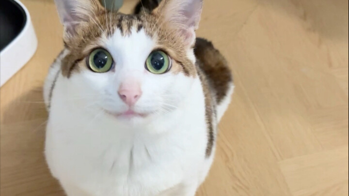 挑战一整天不摸叔