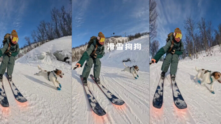 พาหมาไปเล่นสกี⛷️