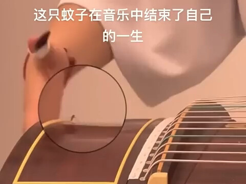 怎么能把观众打死了呢