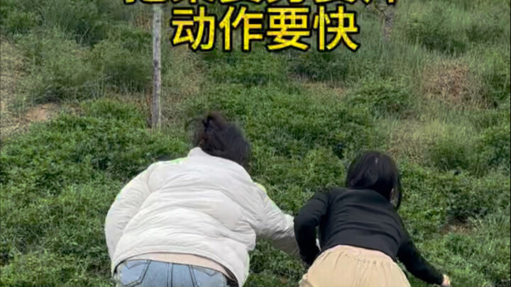 Even the older ladies are raving about how well I’m digging at the Two Sessions!