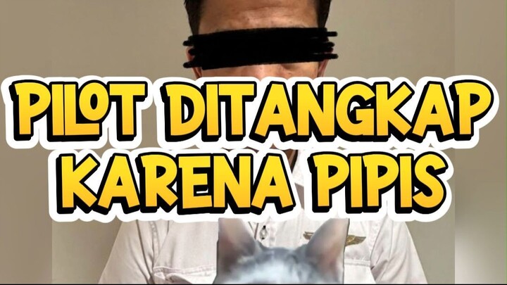 PILOT DITANGKAP KARENA PIPIS?! 🤯