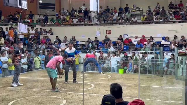 dghwarriors  pogi win 5k sweater 2 cock san juan cockpit arena